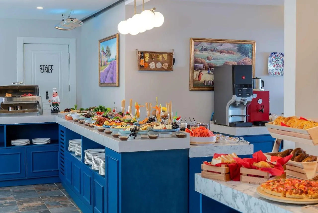 Royan Hotel Hagia Sophia, A Member Of Radisson Individuals Istanbul Turkey
